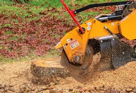 Best Weed Control  in Northwest Harwich, MA